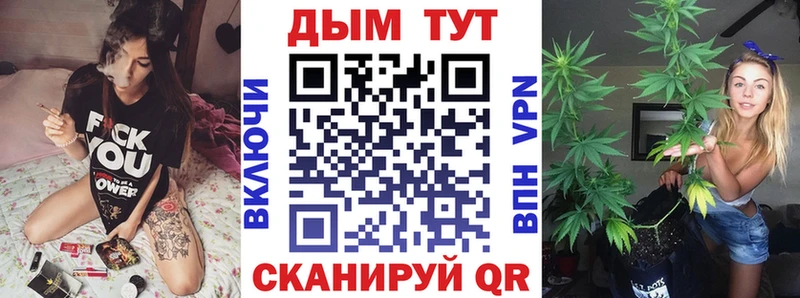 Бошки Шишки планчик  Купить  Солигалич 